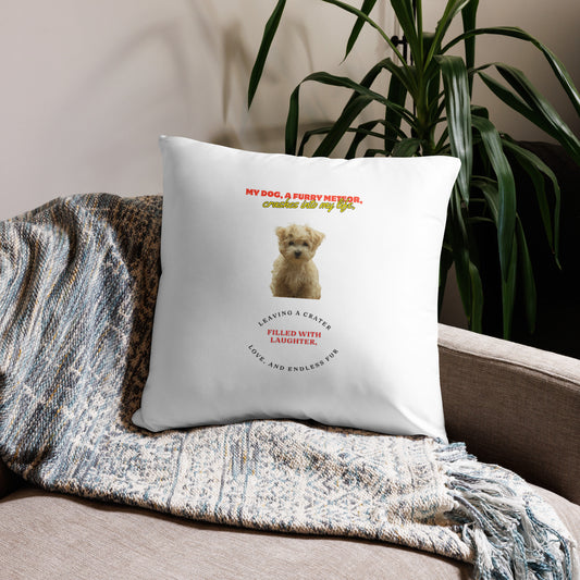 Lizifyuv All-Over Print Basic Pillow